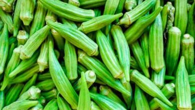 Okra Curry Recipe – Easy & Flavorful