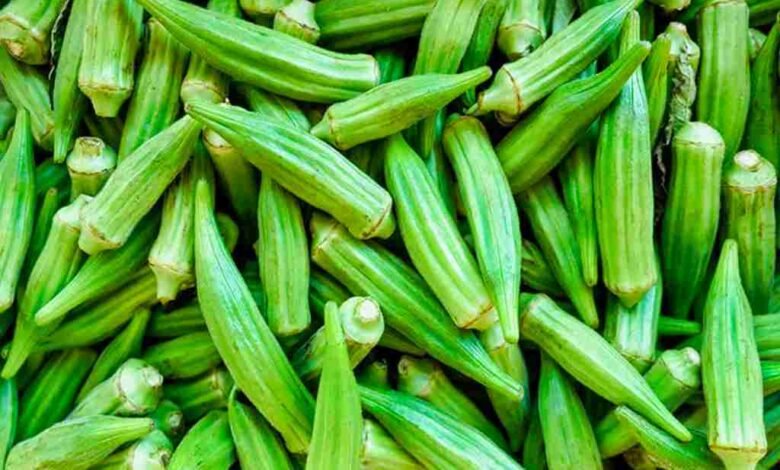 Okra Curry Recipe – Easy & Flavorful