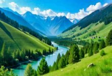 Swat Valley with river, pine forests, and snow-capped mountains in Pakistan