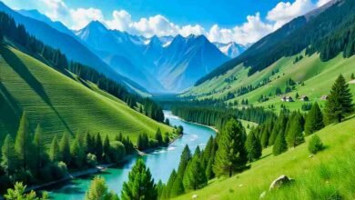 Swat Valley with river, pine forests, and snow-capped mountains in Pakistan